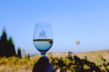 I'm holding up a glass of white wine with the vineyard behind it out of focus. There's a massive blue sky and a small hot air balloon floating in the distance.