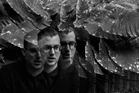 My face replicated 3 times on top of each other. There are also big leaves around me.