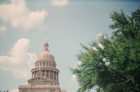 The Texas State Capitol dome seen from a low angle with a tree in right corner.